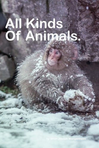 All Kinds Of Animals Beautiful Pictures of Animals