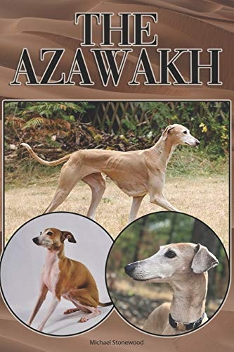 The Azawakh A Complete and Comprehensive Beginners Guide To: Buying, Owning, Health, Grooming, Training, Obedience, Understanding and Caring for Your Azawakh