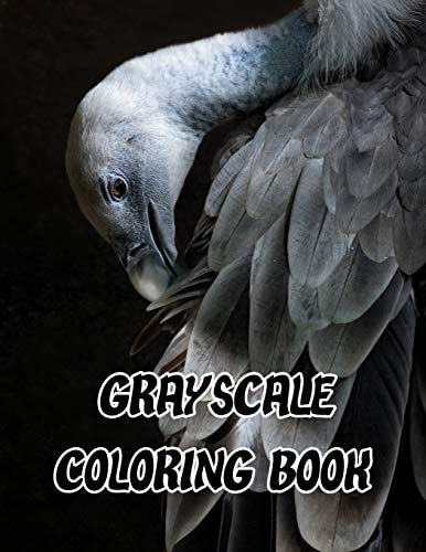 Grayscale Coloring Book Grayscale Adults Coloring Book Pages for Relaxation and Mediation with Challenge Images Jumbo Size