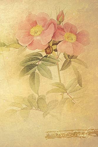 Rosa Lucida Floral Notebook with Flower Illustrations on Every Page