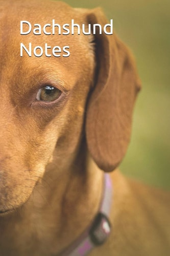 Dachshund Notes