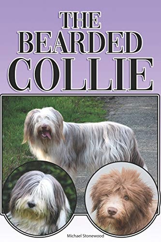 The Bearded Collie A Complete and Comprehensive Beginners Guide To: Buying, Owning, Health, Grooming, Training, Obedience, Understanding and Caring for Your Bearded Collie