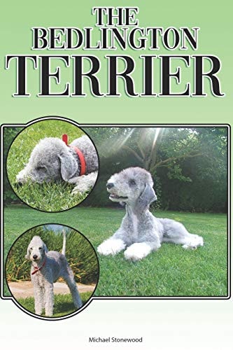 The Bedlington Terrier A Complete and Comprehensive Beginners Guide To: Buying, Owning, Health, Grooming, Training, Obedience, Understanding and Caring for Your Bedlington Terrier