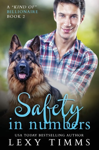 Safety in Numbers Billionaire Steamy Suspense Romance