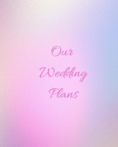 Our Wedding Plans Complete Wedding Plan Guide to Help the Bride & Groom Organize Their Big Day. Graded Pink & Blue Cover Design