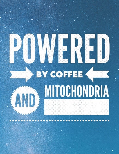 Powered By Coffee And Mitochondria 8.5x11 Large Graph Notebook with Floral Margins for Adult Coloring