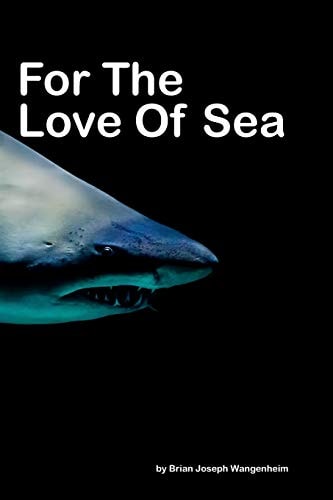 For The Love Of Sea Beautiful Photography of Sea Life