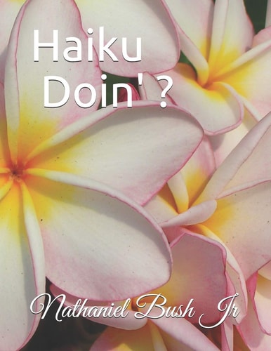 Haiku Doin' ?