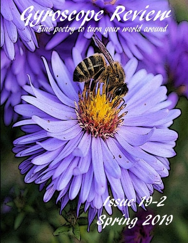 Gyroscope Review Issue 19-2 Spring 2019 Fine Poetry to Turn Your World Around