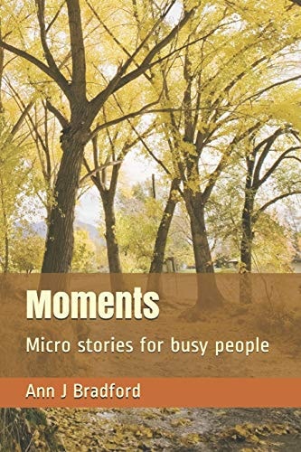 Moments Micro Stories for Busy People