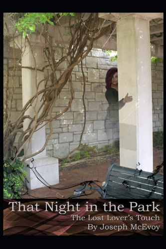 That Night in the Park The Lost Lover's Touch