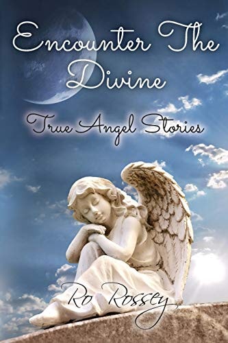 Encounter The Divine True Angel Stories
