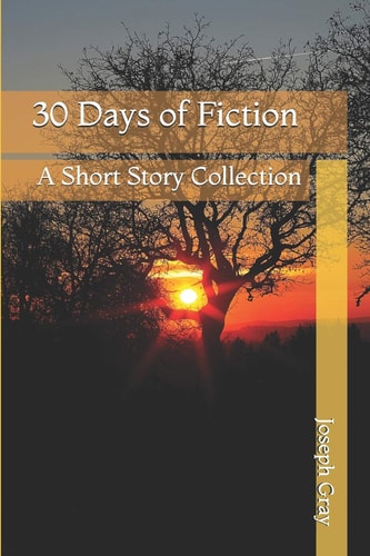 30 Days of Fiction A Short Story Collection