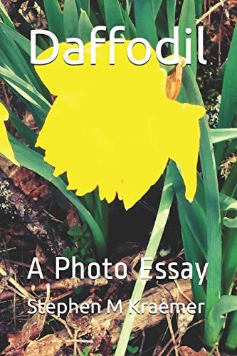 Daffodil A Photo Essay