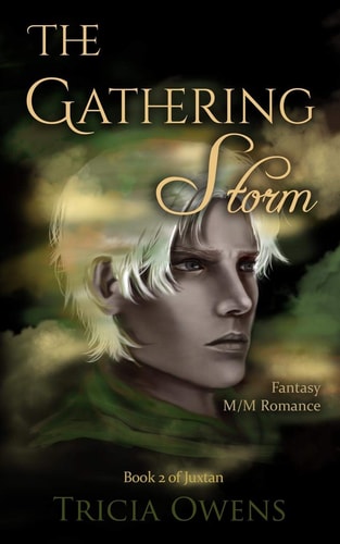 The Gathering Storm Fantasy M/M Romance