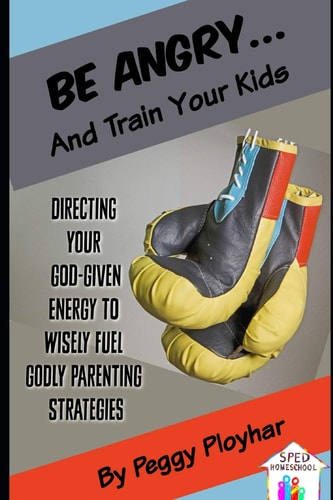 Be Angry... and Train Your Kids Directing Your God-Given Energy to Wisely Fuel Godly Parenting Strategies