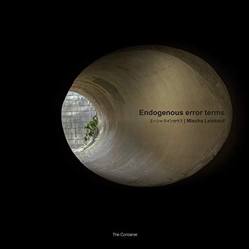Mischa Leinkauf Endogenous Error Terms
