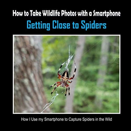 Getting Close to Spiders How I Use My Smartphone to Capture Spiders in the Wild