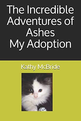 The Incredible Adventures of Ashes My Adoption