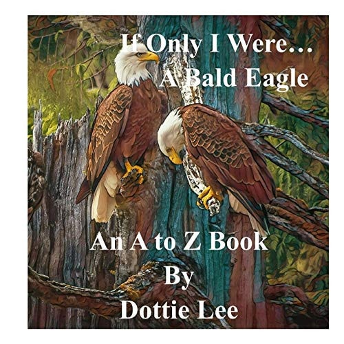 If Only I Were... a Bald Eagle An Angel's Gift!