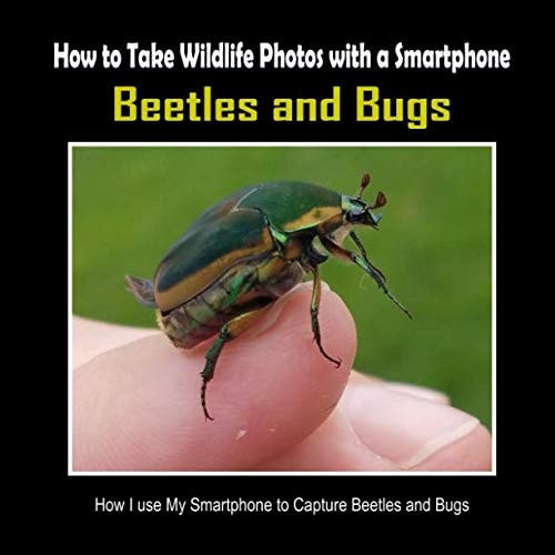 Beetles and Bugs How I Use My Smartphone to Capture Beetles and Bugs