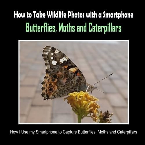BUTTERFLIES, MOTHS AND CATERPILLARS How i Use My Smartphone to Capture Butterflies, Moths And... Caterpillars