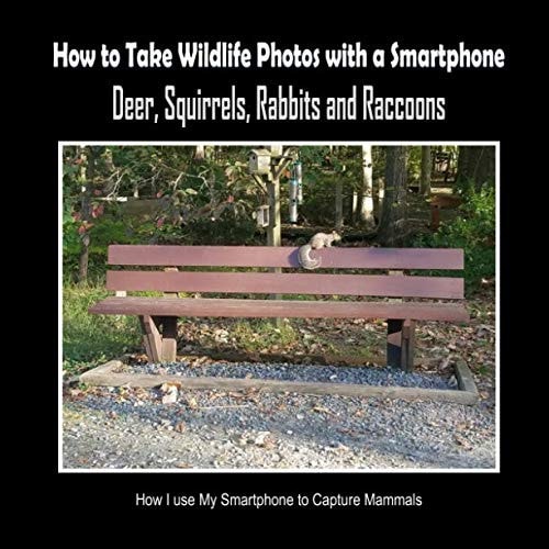 Deer, Squirrels, Rabbits and Raccoons How I Use My Smartphone to Capture Mammals