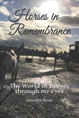 Horses in Remembrance The World of Horses Through My Eyes