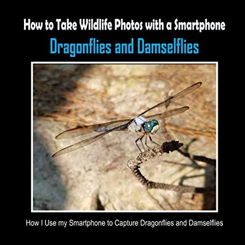 Dragonflies and Damselflies How I Use My Smartphone to Capture Dragonflies and Damselflies