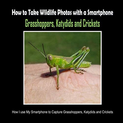 Grasshoppers, Katydids and Crickets How I Use My Smartphone to Capture Grasshoppers, Katydids and Crickets