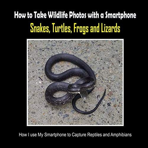 Snakes, Turtles, Frogs and Lizards How I Use My Smartphone to Capture Reptiles and Amphibians
