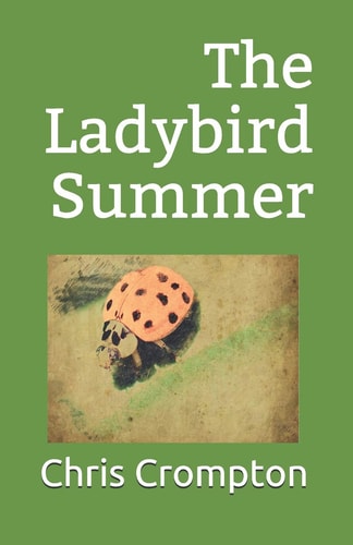 The Ladybird Summer