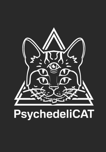 Psychedelic Notes Katzen Notizbuch 124 Seiten Leer Mit Seitenzahlen Malbuch Notes Psychedelic Cat