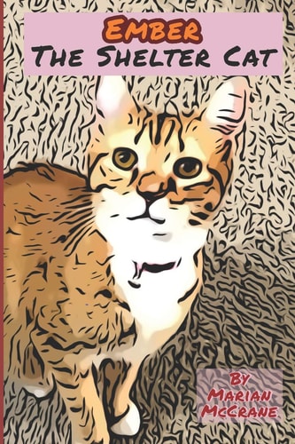 Ember The Shelter Cat