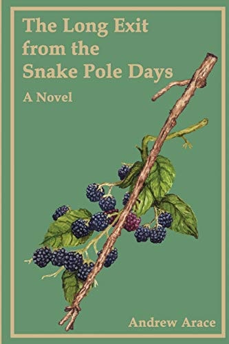 The Long Exit from the Snake Pole Days