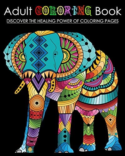 Adult Coloring Book Discover The Healing Power of Mandala Pages