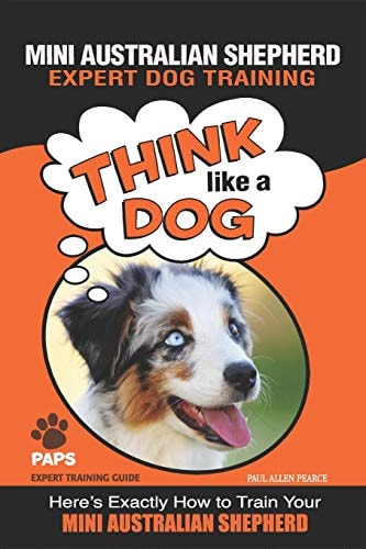 MINI AUSTRALIAN SHEPHERD Expert Dog Training "Think Like a Dog" Here's Exactly How to Train Your Mini Australian Shepherd
