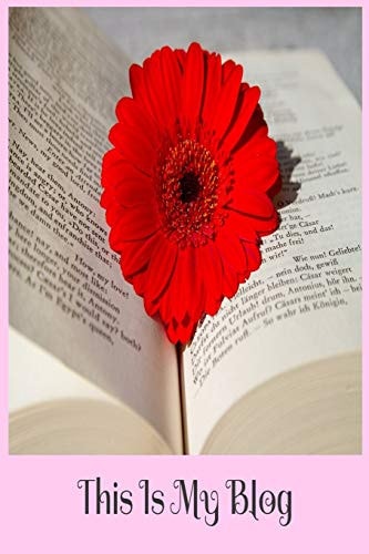 This Is My Blog Your Ultimate Blog Planning Tool