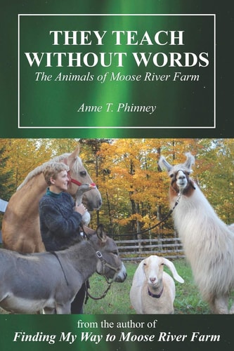 They Teach Without Words The Animals of Moose River Farm