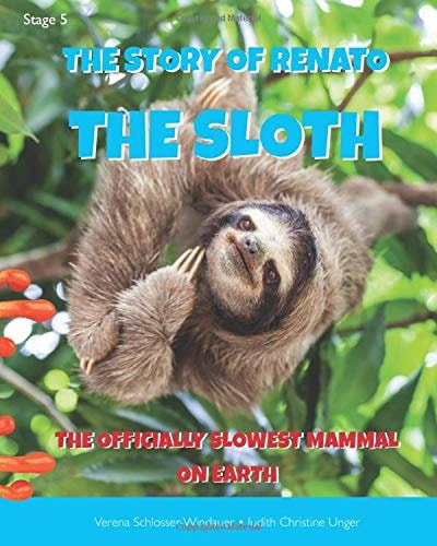 The Story Of Renato The Sloth The Officially Slowest Mammal On Earth