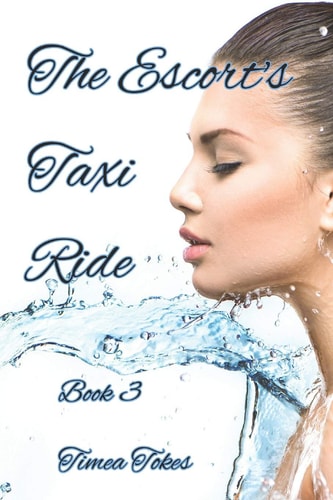 The Escort's Taxi Ride 3 An Erotica Short Story (Straight)
