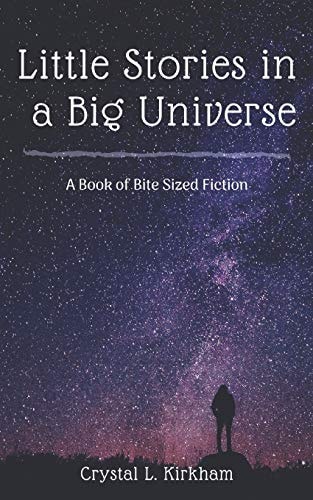 Little Stories in a Big Universe A Book of Bite-Sized Fiction