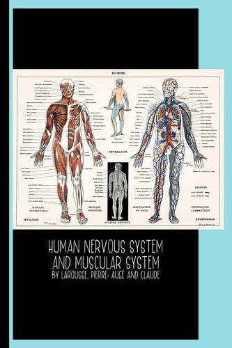 Human Nervous System and Muscular System (1900) by Larousse, Pierre; Augé and Claude College Ruled Notebook: Illustration / Gallery and Museum Art
