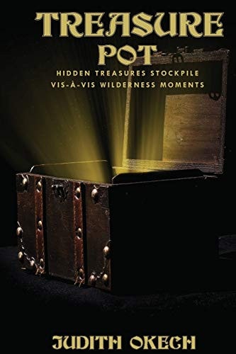Treasure Pot Hidden Treasures Stockpile Vis-à-Vis Wilderness Moments