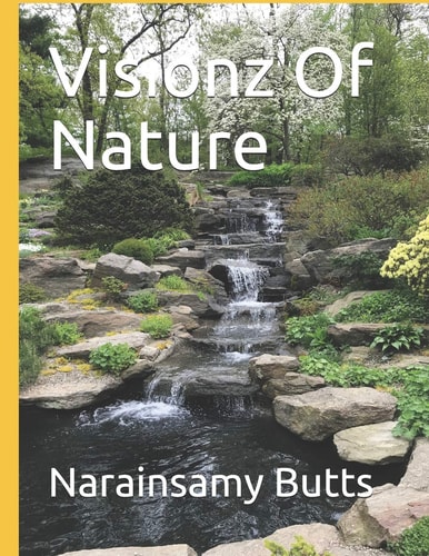 Visionz Of Nature