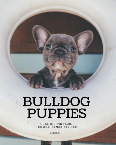 Bulldog Puppies Guide to Train & Care for Your French Bulldog