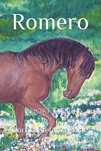 Romero Short Story