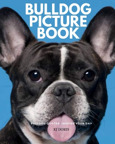 Bulldog Picture Book Bulldog Quotes Inspire Your Day