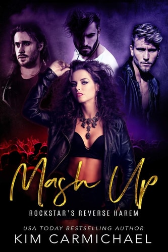 Mash Up - Rockstar's Reverse Harem