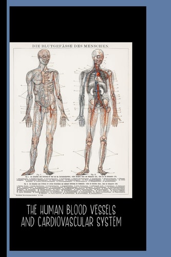 The Human Blood Vessels and Cardiovascular System (1898) : College Ruled Notebook Die Blutgefasse Des Menschen / Gallery and Museum Art